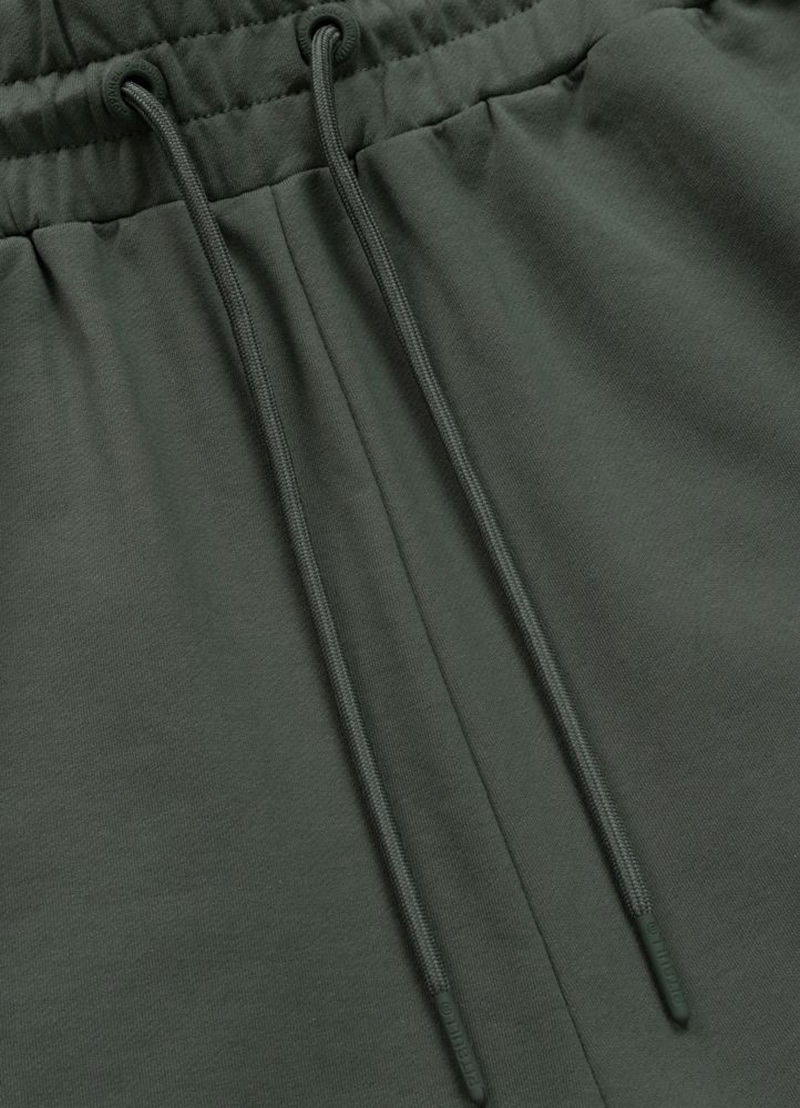 PIT BULL SZORTY NUGGET SAGE GREEN