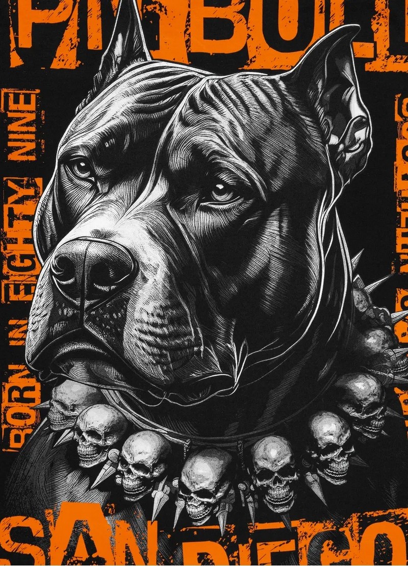 PIT BULL KOSZULKA BLACKY BLACK