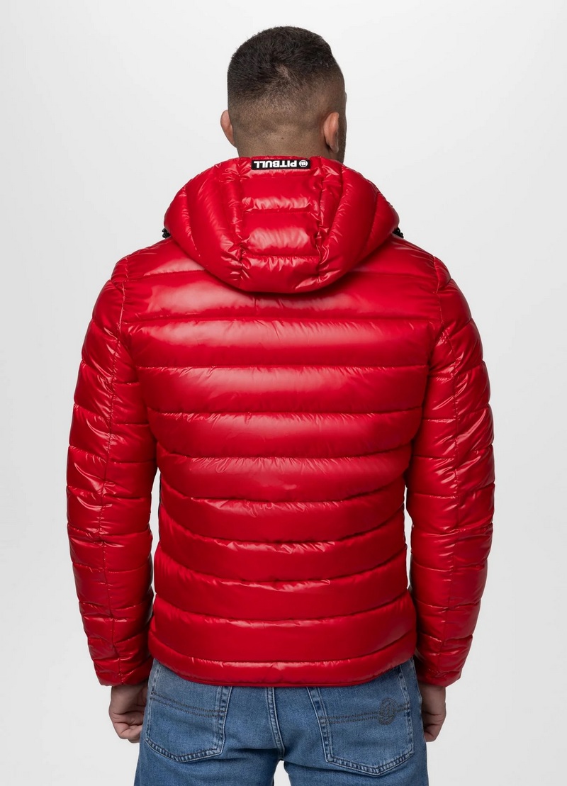 PIT BULL KURTKA SHATTO