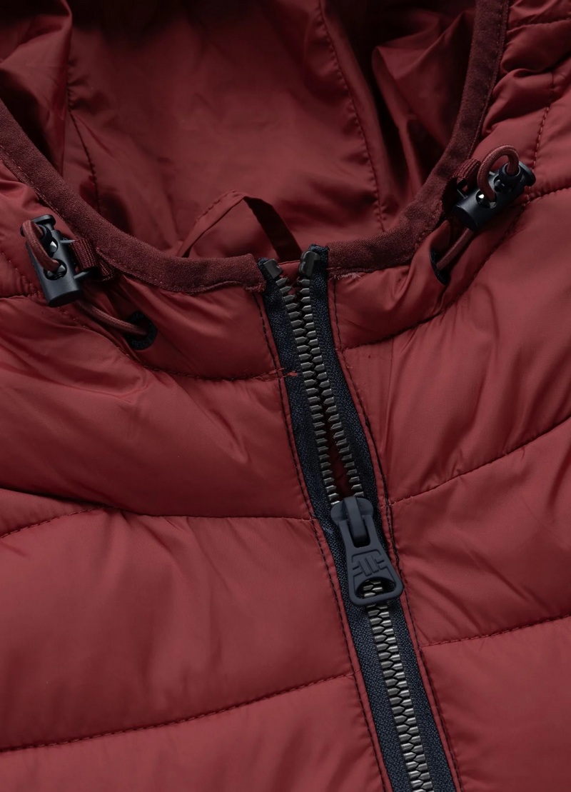 PIT BULL KURTKA RUBIO