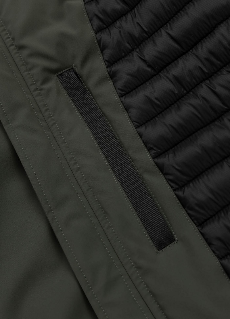 PIT BULL KURTKA YORK