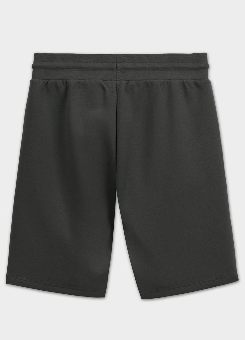 PIT BULL SZORTY SAMPSON GREY GREEN