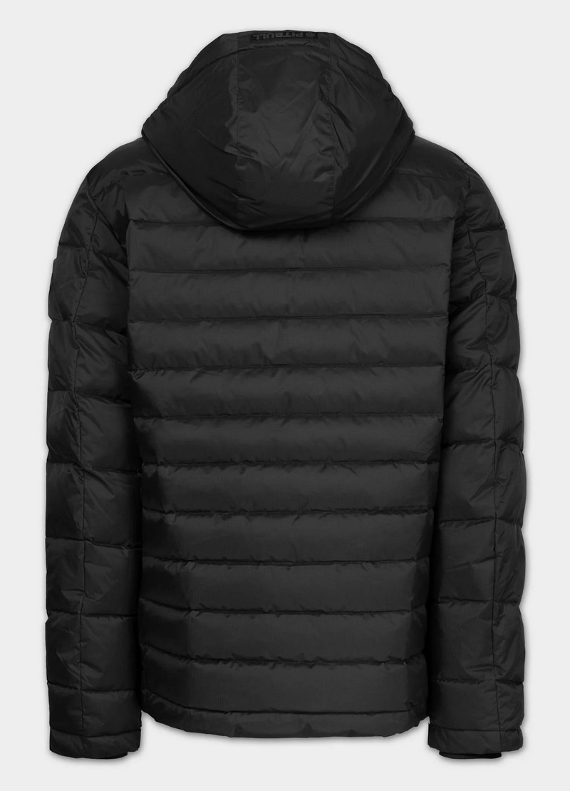 PIT BULL KURTKA CRESTLINE BLACK