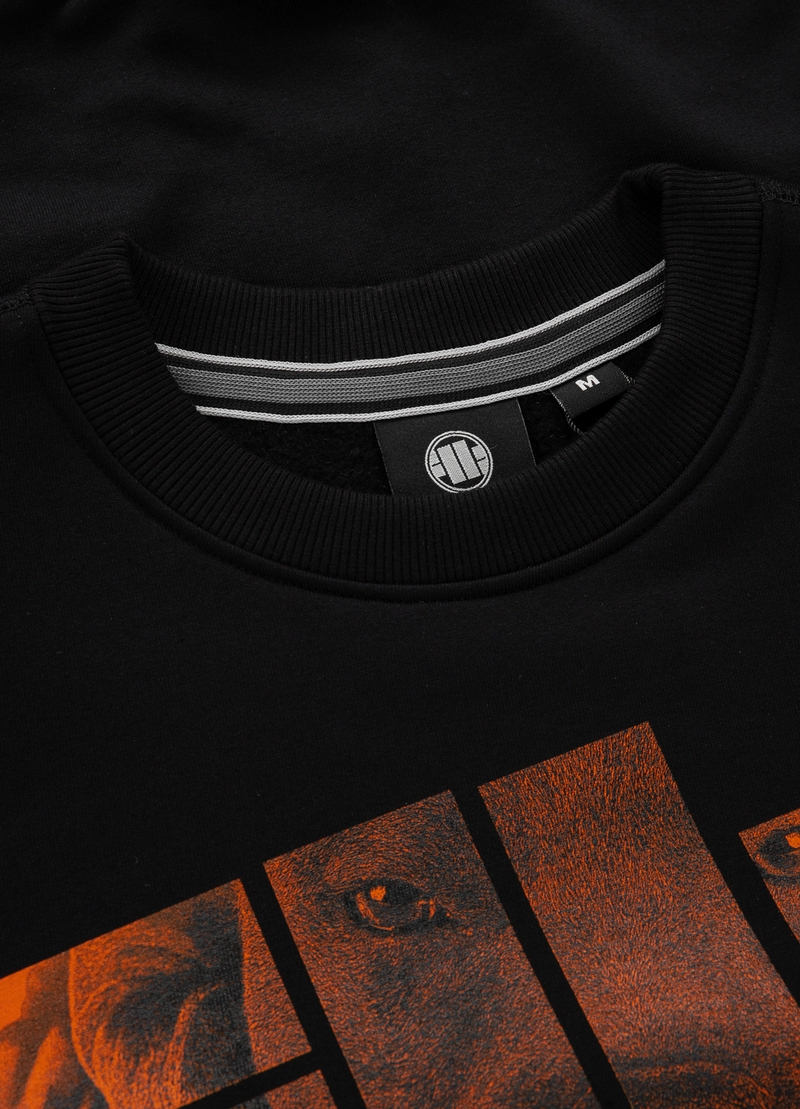 PIT BULL BLUZA CREWNECK ORANGE LOGO