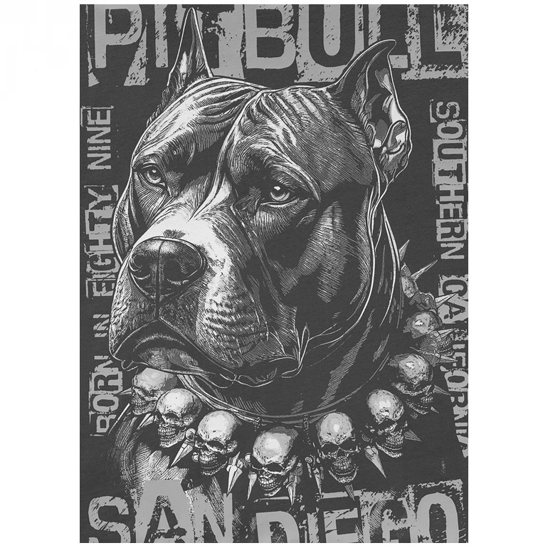 PIT BULL KOSZULKA BLACKY GRAPHITE