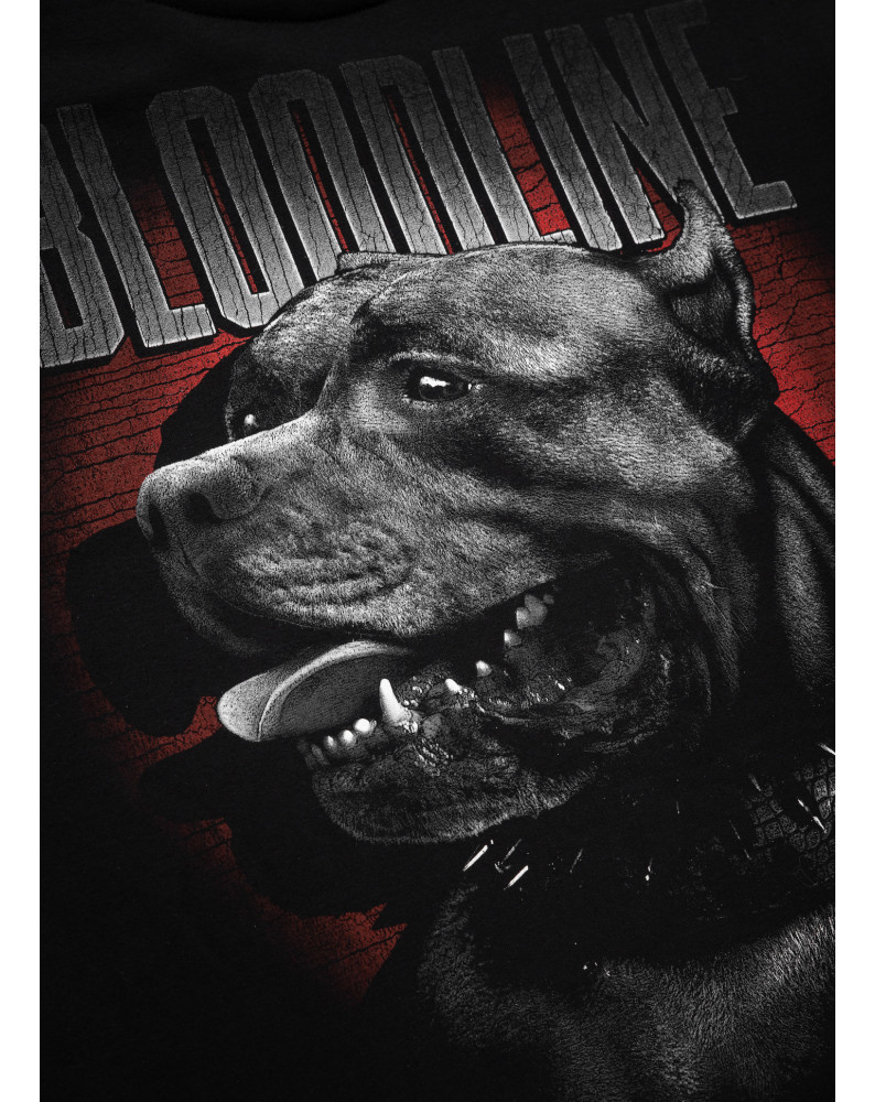 PIT BULL BLUZA CREWNECK BLOODLINE