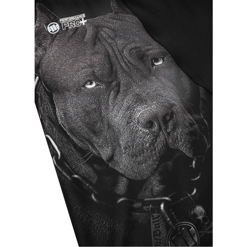 PIT BULL LEGGINSY BORN IN 1989