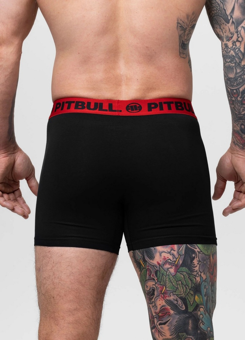 PIT BULL BOKSERKI 3 PACK CASUAL TAPE
