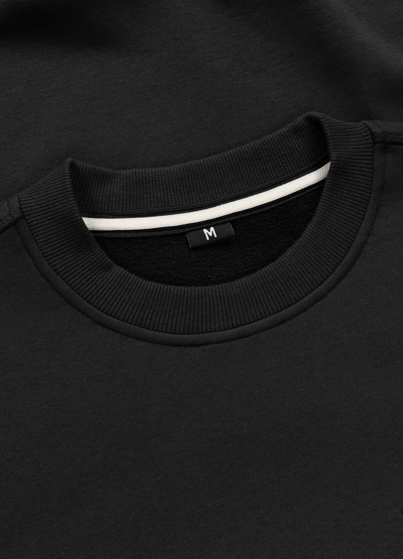 PIT BULL BLUZA CREWNECK ARBOR