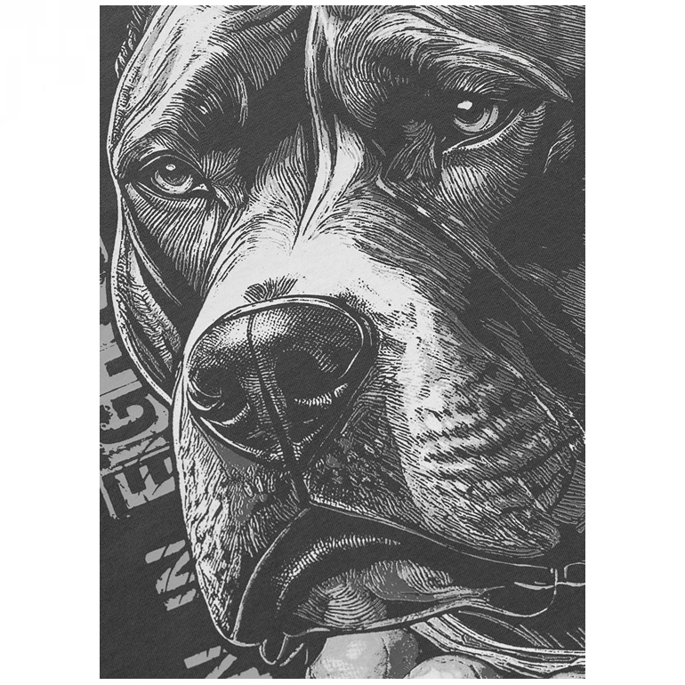 PIT BULL KOSZULKA BLACKY GRAPHITE