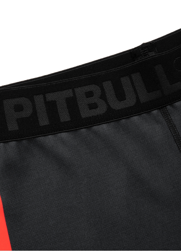 PIT BULL SZORTY KOMPRESYJNE HILLTOP GREY