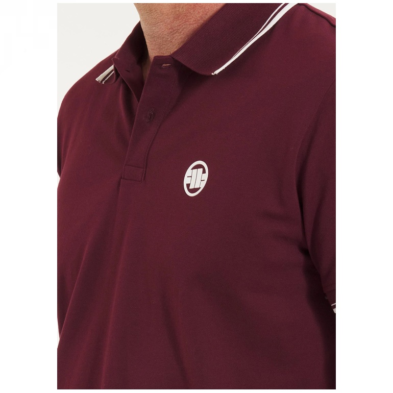 PIT BULL KOSZULKA POLO STRIPES
