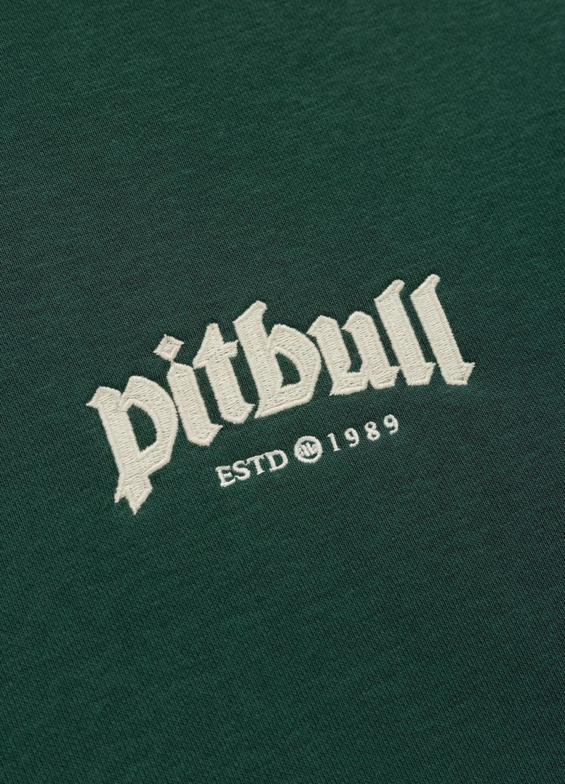 PIT BULL BLUZA Z KAPTUREM TAYLOR