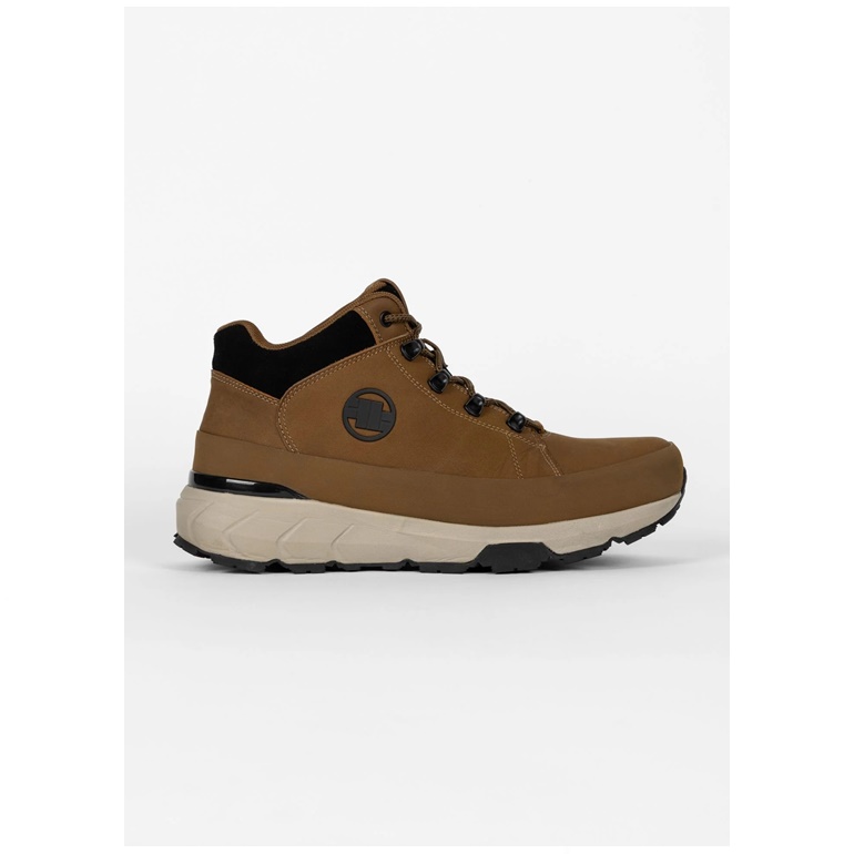 PIT BULL BUTY CABRILLO BROWN