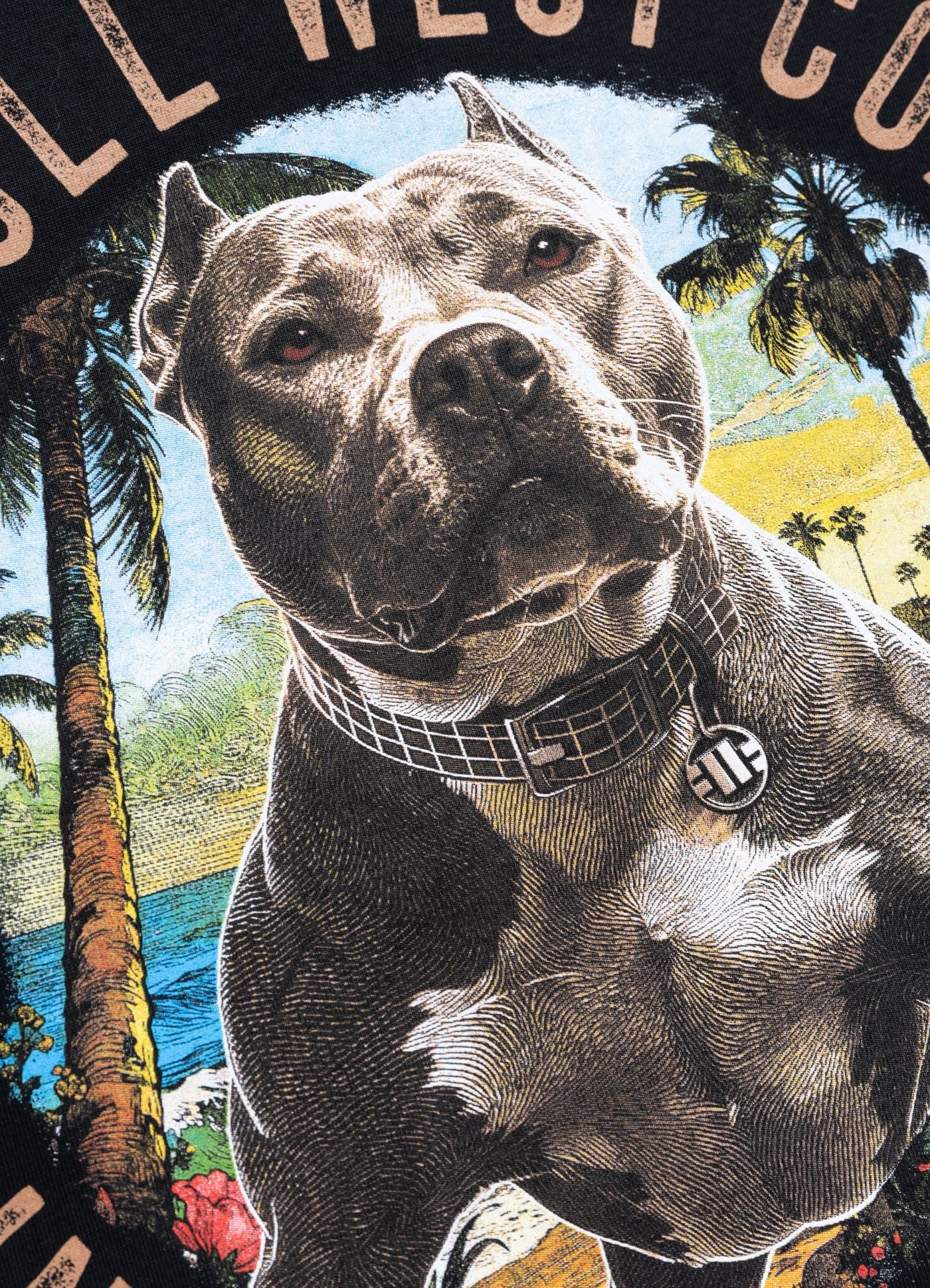 PIT BULL KOSZULKA BEACH BOY