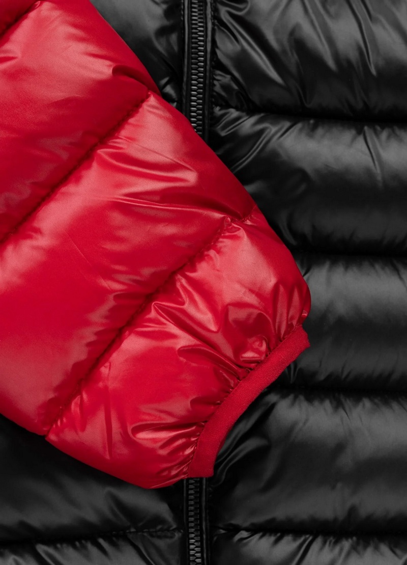 PIT BULL KURTKA SHATTO