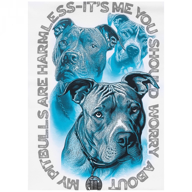 PIT BULL KOSZULKA PROTECTOR