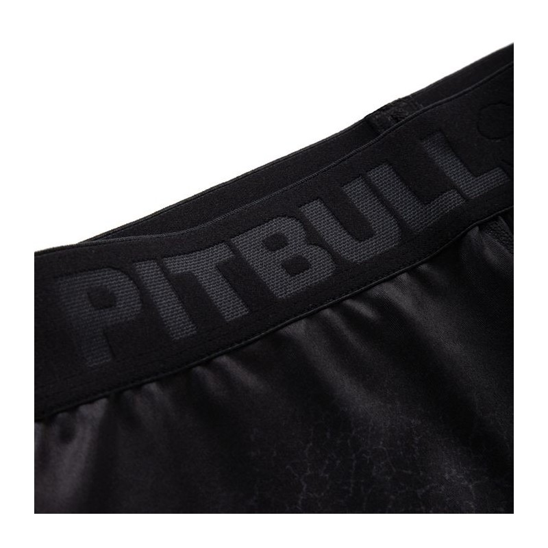 PIT BULL LEGINSY SKULL DOG