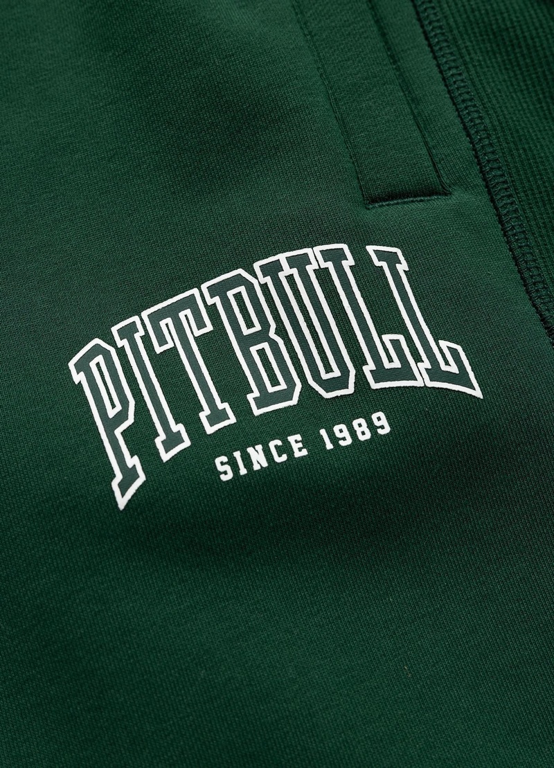 PIT BULL SZORTY BADGER