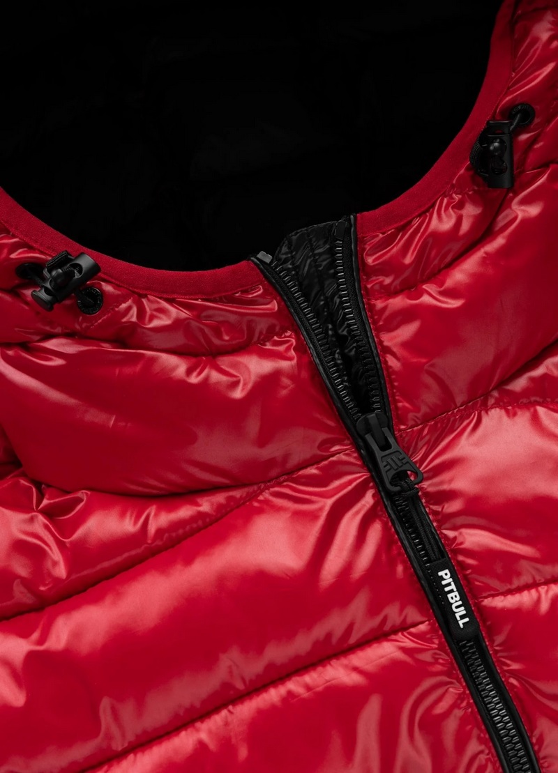 PIT BULL KURTKA SHATTO