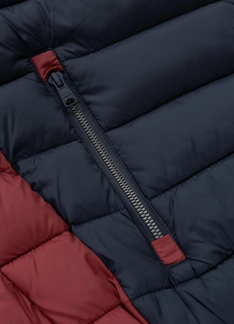 PIT BULL KURTKA RUBIO