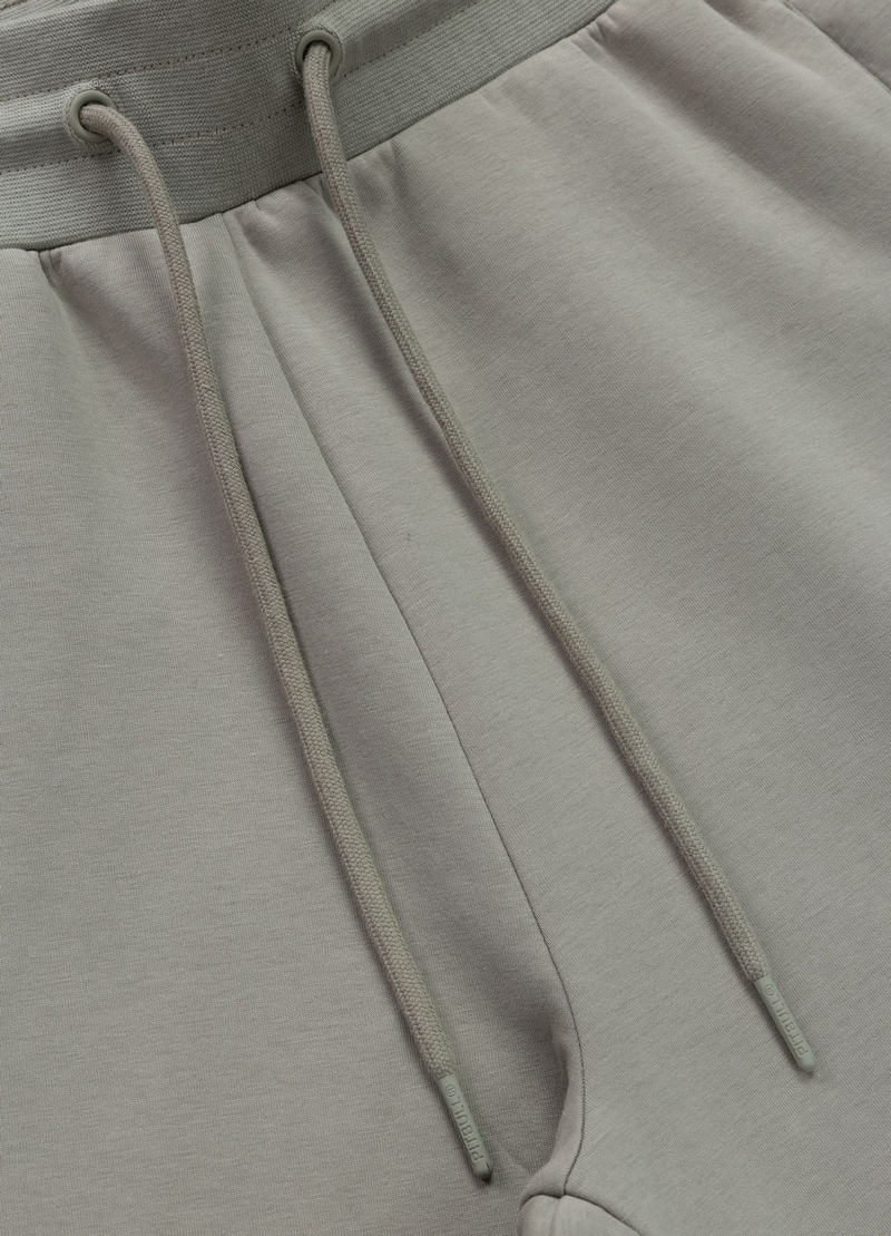 PIT BULL SZORTY SAMPSON GREY HARBOUR