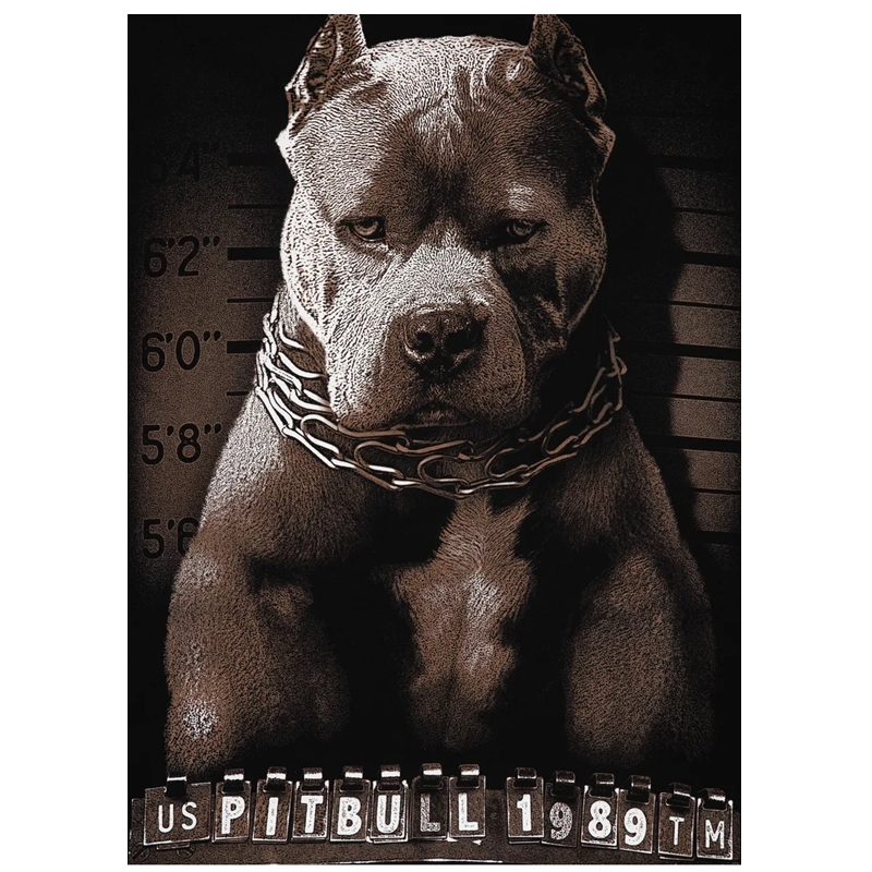 PIT BULL BLUZA CREWNECK MUGSHOT BLACK