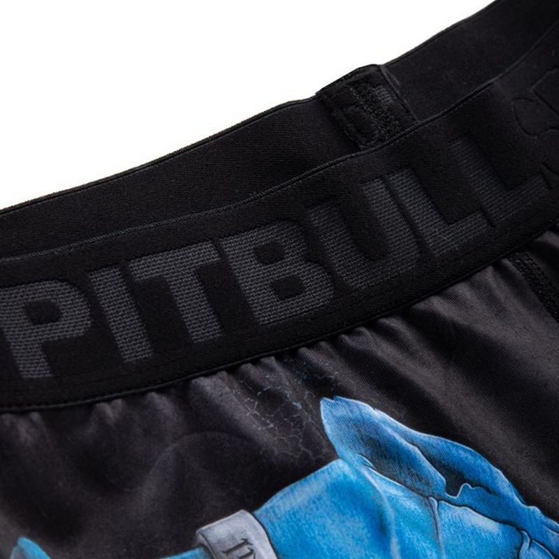 PIT BULL SZORTY KOMPRESYJNE SKULL DOG