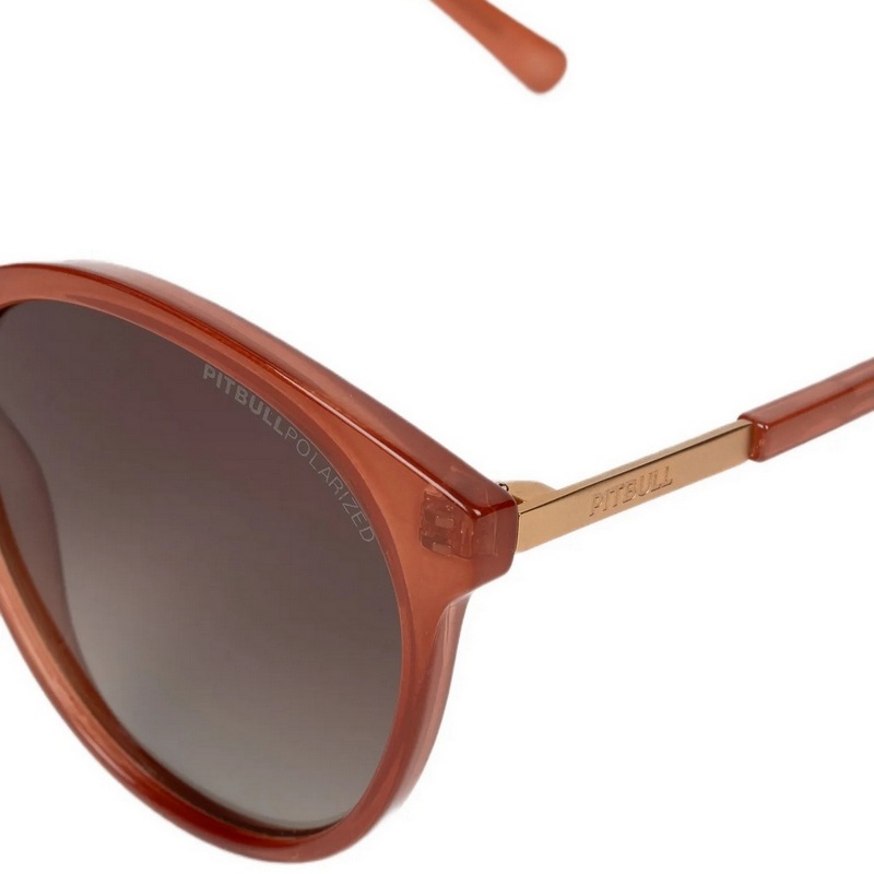 PIT BULL OKULARY PRZECIWSŁONECZNE HALLEY CHAPPAGNE BROWN