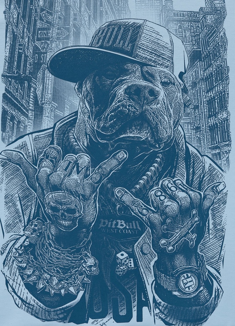 PIT BULL BLUZA Z KAPTUREM USA