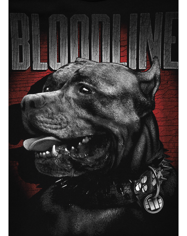 PIT BULL BLUZA CREWNECK BLOODLINE