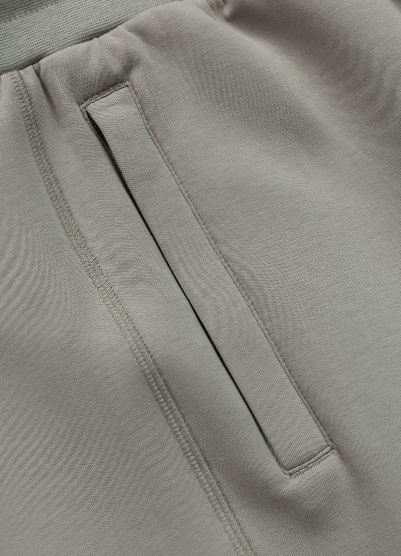 PIT BULL SZORTY SAMPSON GREY HARBOUR