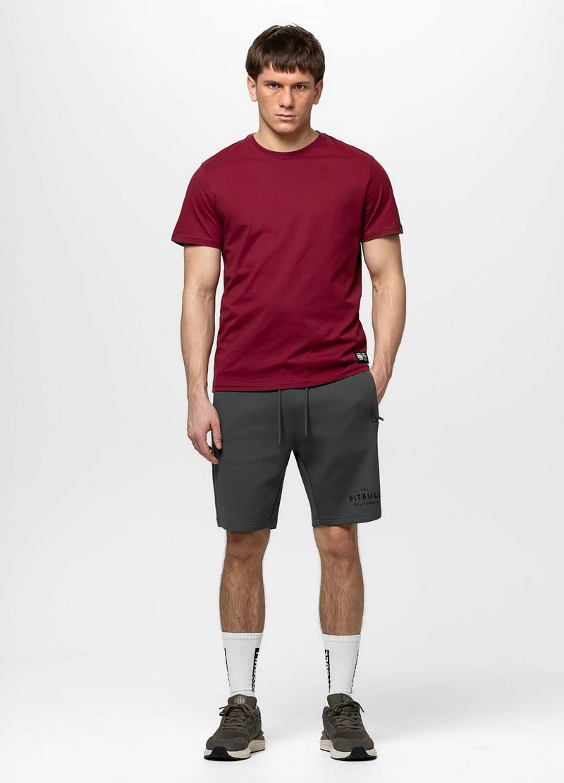 PIT BULL SZORTY SAMPSON GREY GREEN