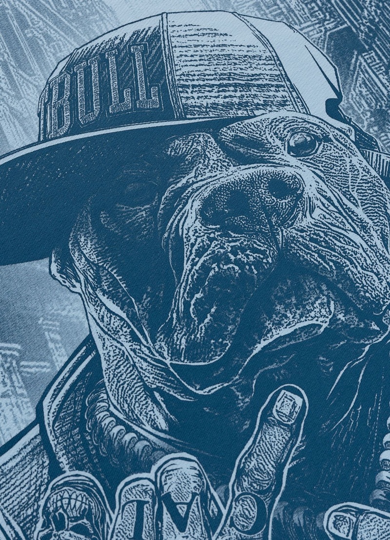 PIT BULL BLUZA Z KAPTUREM USA