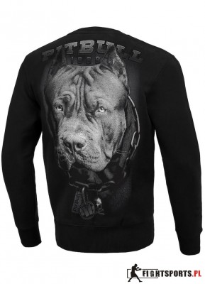 PIT BULL BLUZA CREWNECK BORN IN 1989