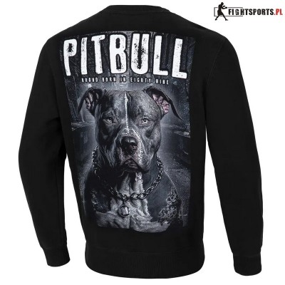 PIT BULL BLUZA CREWNECK STREET KING