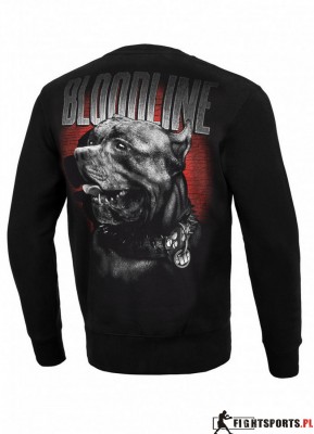 PIT BULL BLUZA CREWNECK BLOODLINE