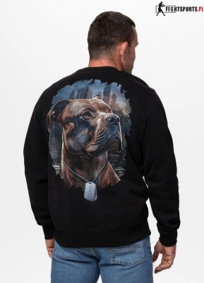 PIT BULL BLUZA CREWNECK HERO